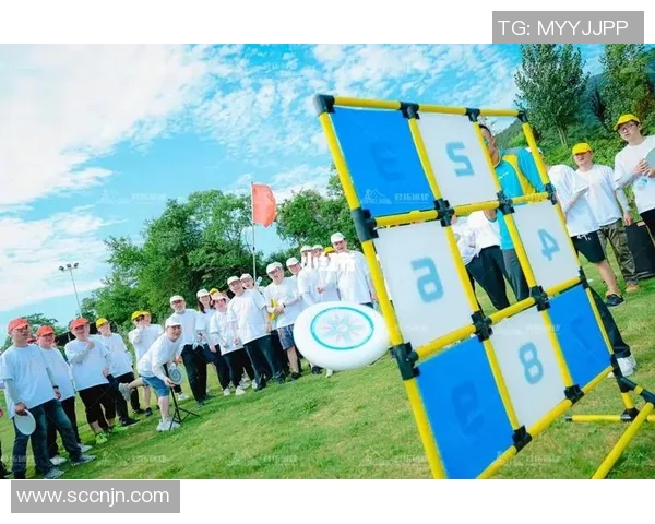 武汉飞盘队运营创新探索:重塑团队发展新模式与未来愿景 武汉飞盘队运营创新探索:重塑团队发展新模式与未来愿景